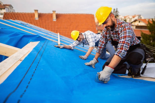 Best Storm Damage Roof Repair  in Darmstadt, IN
