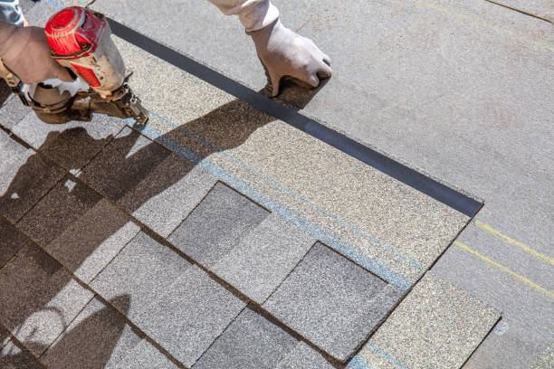Best Roof Repair Services  in Darmstadt, IN